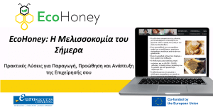 Understanding the Value of Organic Honey